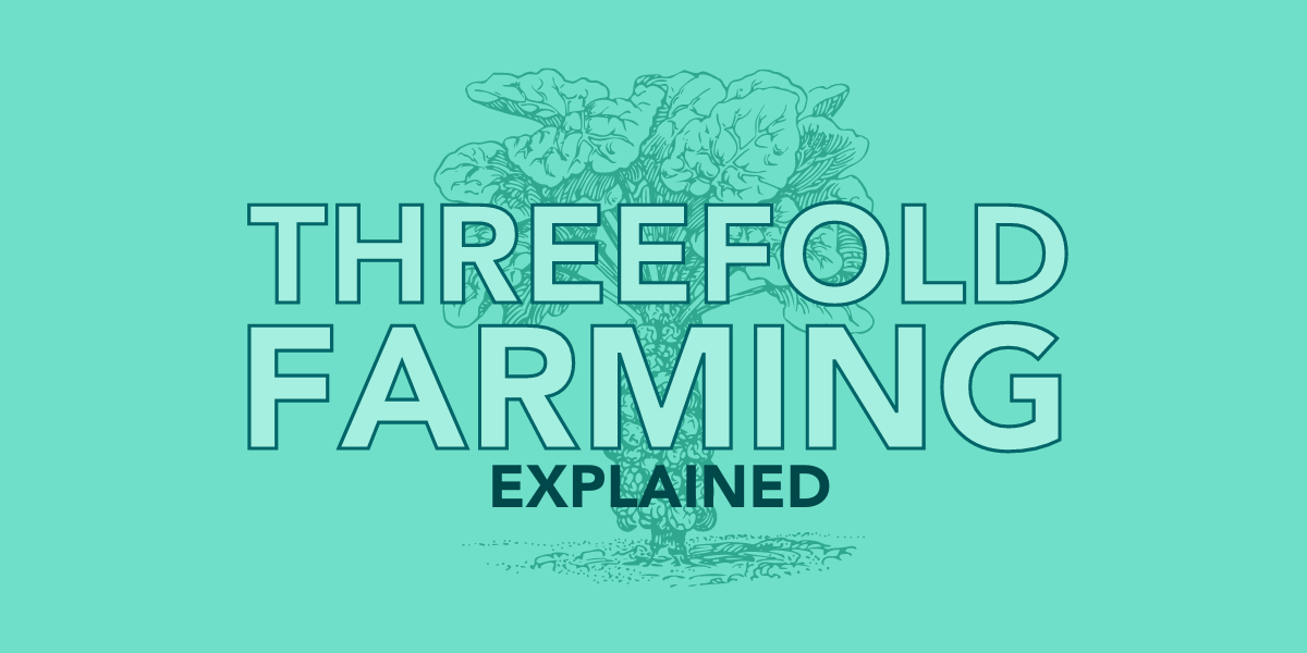 What is ThreeFold Farming? Picture